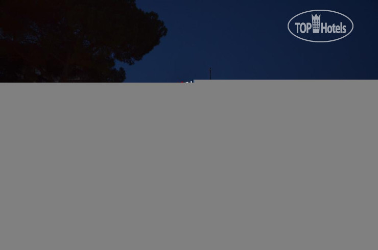 New photos from tourists Jolly Hotel 3*