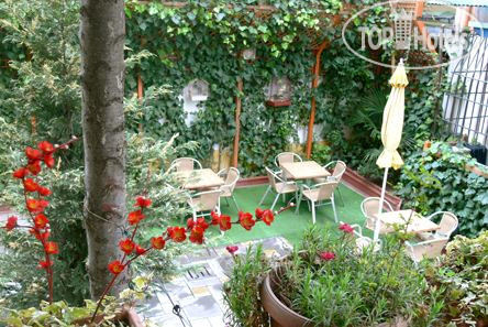 New photos from tourists Nirvana 4*