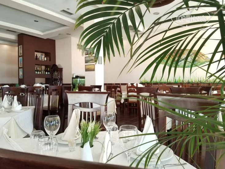 New photos from tourists Edart Hotel