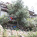 Photos Oda e Miqve II Guesthouse 