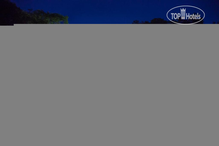 New photos from tourists Livia Hotel 4*