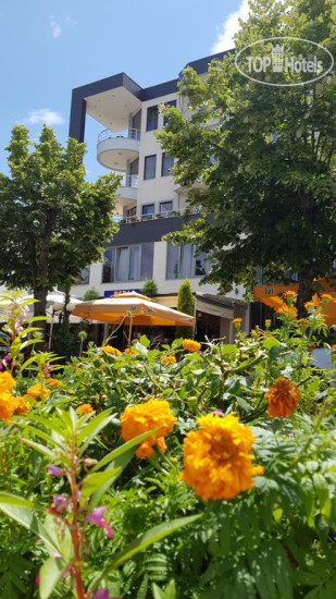 New photos from tourists Perla Hotel 3*