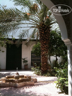 New photos from tourists Riad Ifoulki 4*