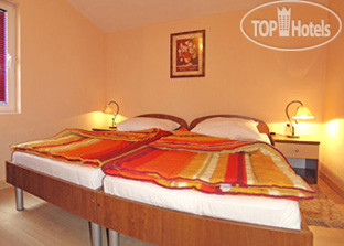 New photos from tourists Pansion Flowers 3*