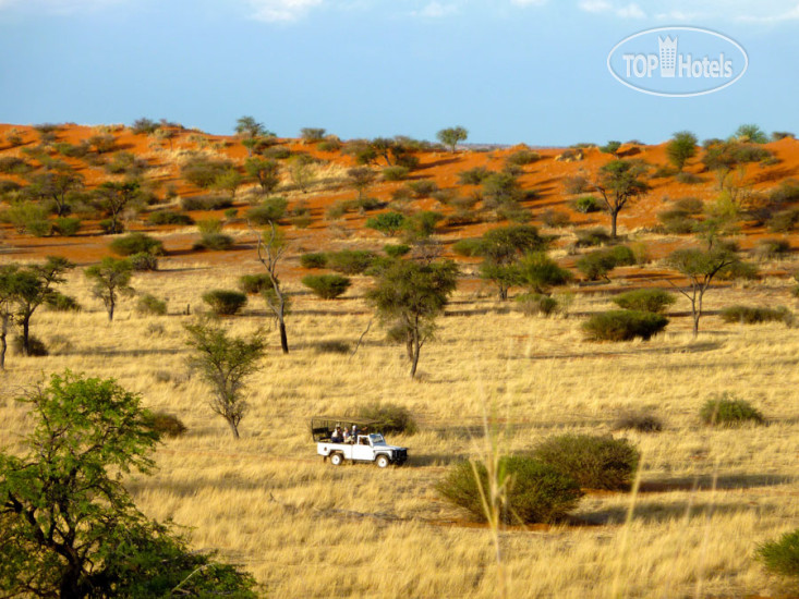 New photos from tourists Zebra Kalahari Lodge 3*