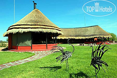Новые добавленные фото туристов Okonjima Main Camp & Bush Camp 3*