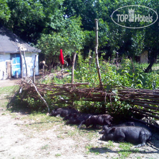 Photos NH Haiti El Rancho