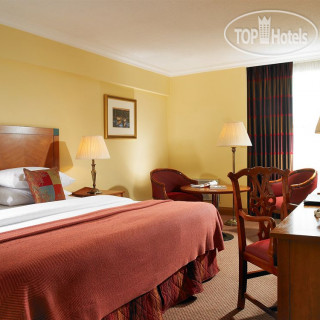 Photos O'Callaghan Eliott