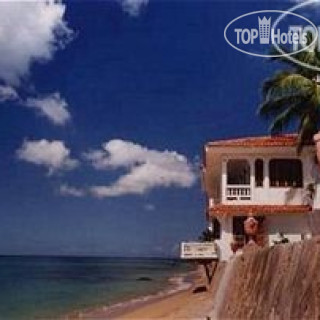 Photos Horned Dorset Primavera