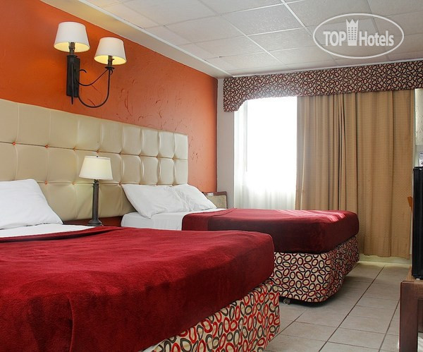 New photos from tourists Coral By The Sea 1*