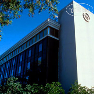 Photos Sheraton Djibouti Hotel