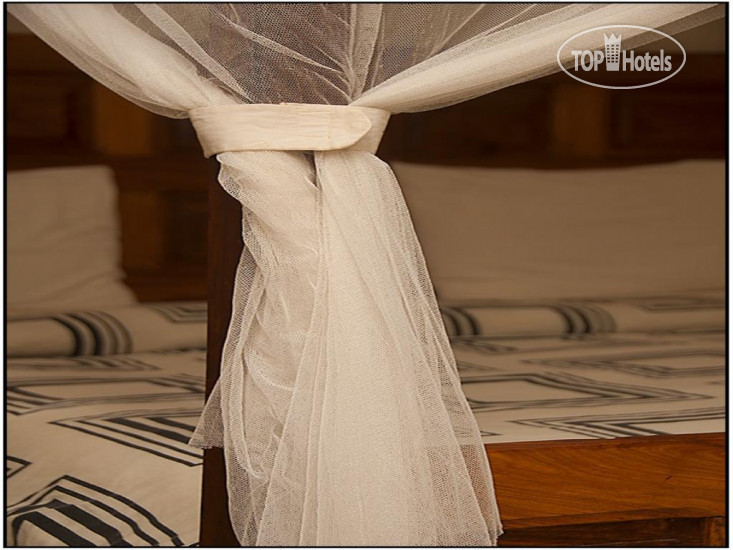 New photos from tourists Seaview Gardens Hotel 4*