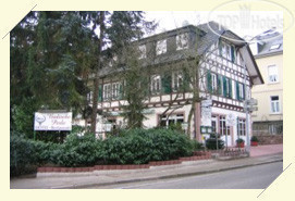 Hotel photo Badische Perle 3*