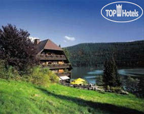 Hotel photo Alemannenhof 4*