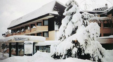 Hotel photo Alpenpanorama 4*