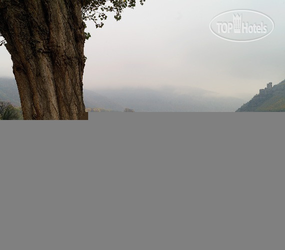 New photos from tourists NH Bingen 4*