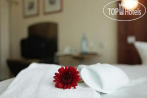 New photos from tourists Mercure Hotel Bensheim 3*