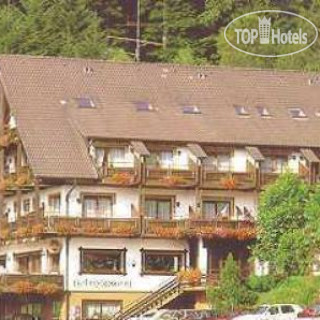 Photos Minotel Waldhotel Palmspring