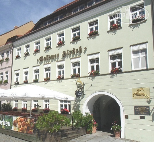 Photos AKZENT Hotel Goldner Hirsch