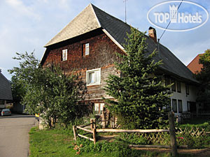 Фото Hirschen