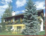 Hotel photo Gastehaus Sissi 2*