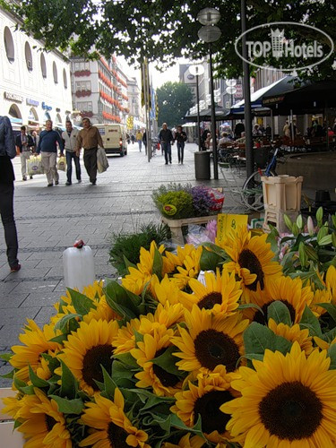 New photos from tourists Traunfeldmuhle 4*