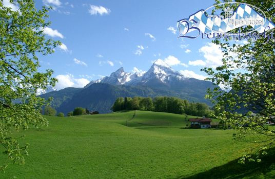 New photos from tourists Alpenhotel Brennerbascht 4*