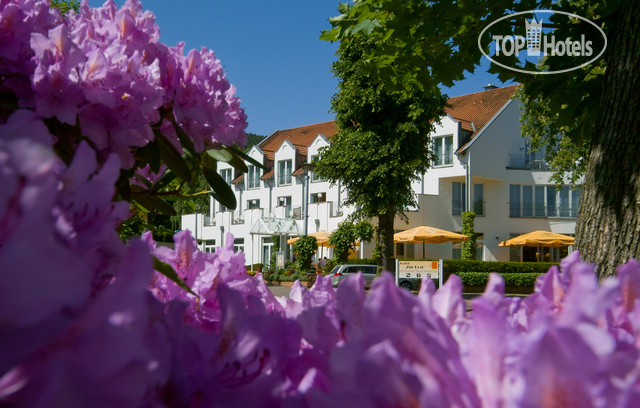 New photos from tourists AKZENT Hotel Zur Post 4*