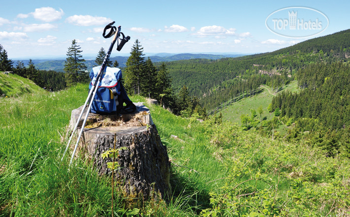 New photos from tourists Berg- und Jagdhotel Gabelbach 4*
