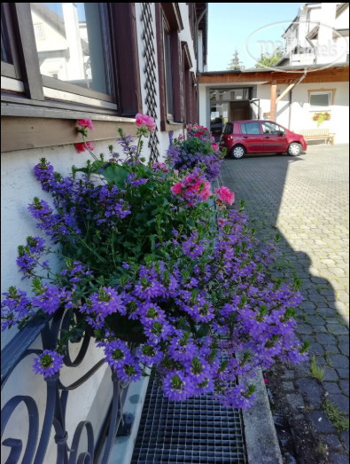 Photos Hotel Gasthof Stern