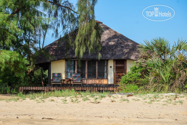 New photos from tourists Saadani Safari Lodge 4*