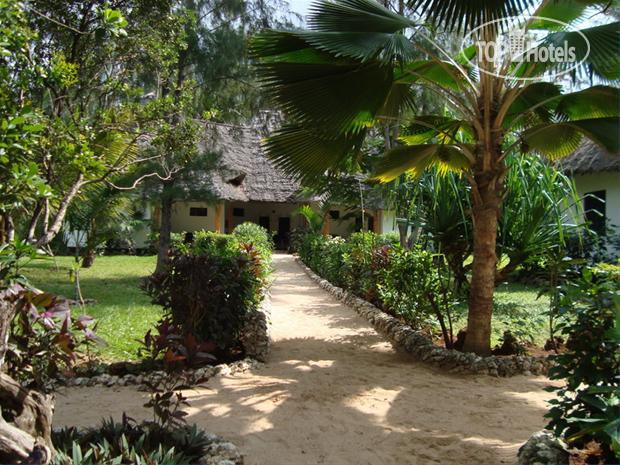 Фото Pongwe Beach