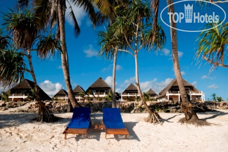 Фото Zanzibar Dolphin View Paradise Resort & Spa