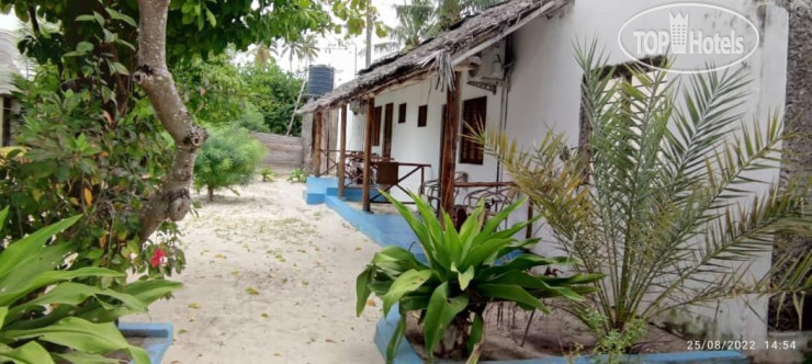 Photos Oasis Inn Beach Bungalow