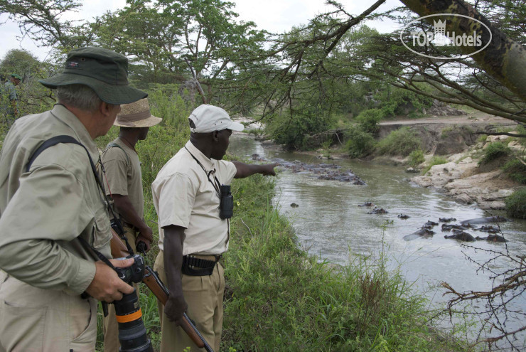 New photos from tourists Serengeti Migration Camp by Elewana 5*
