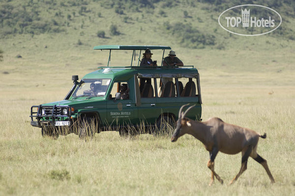 New photos from tourists Serengeti Serena Lodge 5*