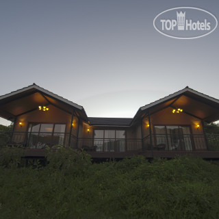 Photos Lion's Paw Camp