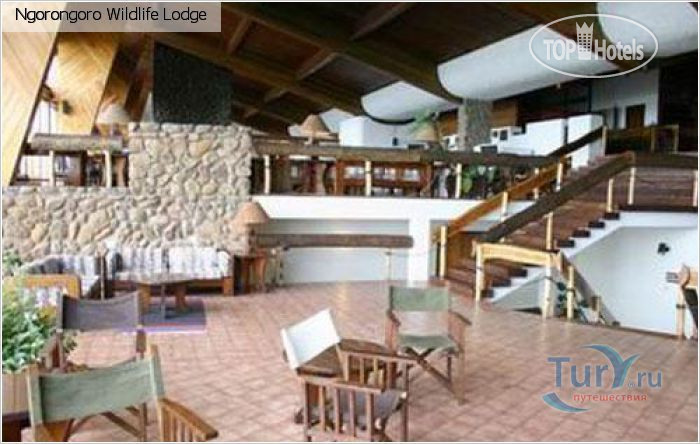 New photos from tourists Ngorongoro Wildlife Lodge 4*