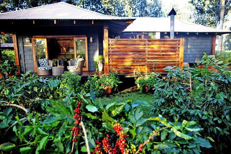 Фото Arusha Coffee Lodge by Elewana