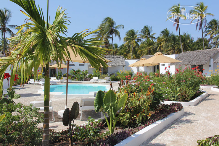 New photos from tourists Dhow Inn 4*