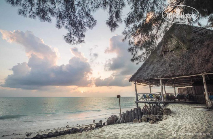 New photos from tourists Ndame Beach Lodge 3*