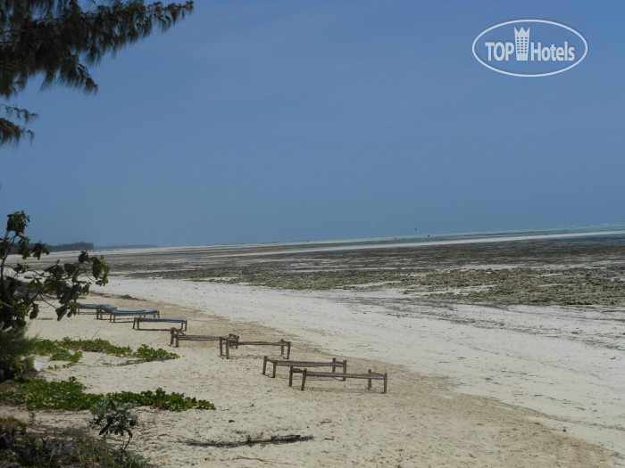 New photos from tourists Mbuyuni Beach Village 2*