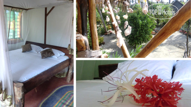 New photos from tourists Sagando Hostel