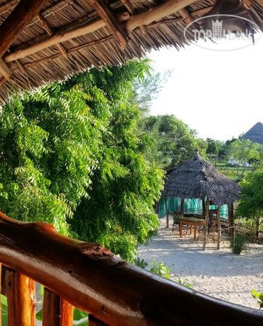 New photos from tourists Twiga Beach Bungalows