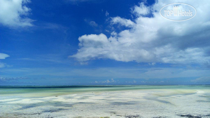 New photos from tourists Zanzibar Bahari Villas 4*