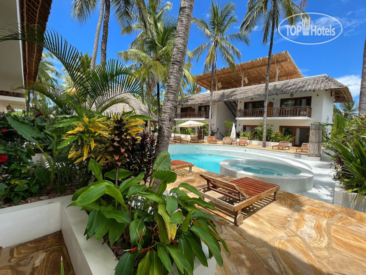 New photos from tourists Aluna Paje 4*