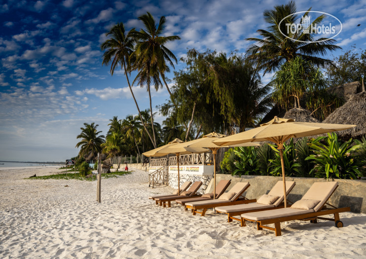 New photos from tourists Alladin Beach Hotel & Spa 5*