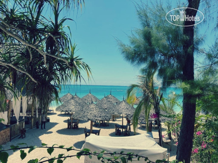 New photos from tourists Mano Kendwa Beach