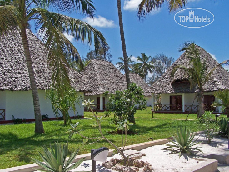 New photos from tourists Jaz Adonia Beach Resort 4*