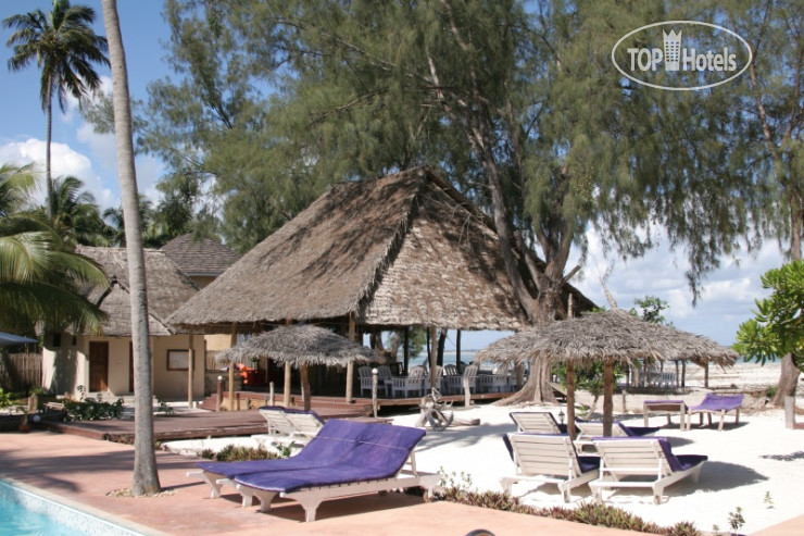 New photos from tourists Michamvi Water Sports Resort 4*